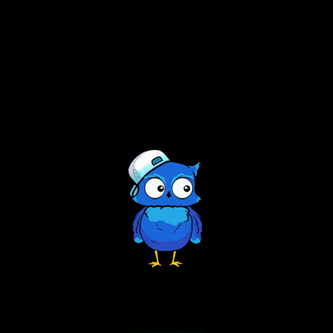 Crypto Owl GIF by BigBrains