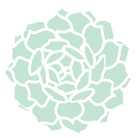 Get Wild Succulents Sticker by Wildflora LA