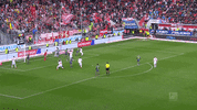 football GIF by 1. FC Köln