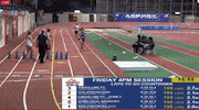 nyc marathon running GIF by RunnerSpace.com