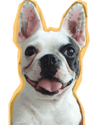 Dog Kylie Sticker by karoltip