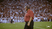 College Football GIF by Arkansas Razorbacks