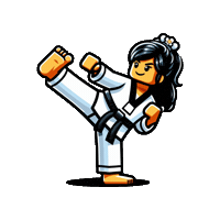 Kick Lego Sticker by Taekwondo Camaleones