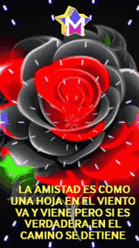 La Amistad Rosa GIF by Murcianys LLC
