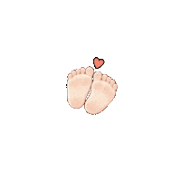 인스타Gif Sticker
