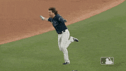 Flying Major League Baseball GIF by MLB