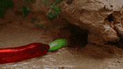 Calling Stop Motion GIF by CreativeCooking