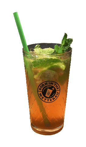 BORN_IN_THE_WETTERAU giphyupload prost hessen schnaps Sticker