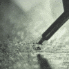 close up drawing GIF by Alex Evans Art