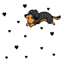 Sausage Dog Dachshund Sticker