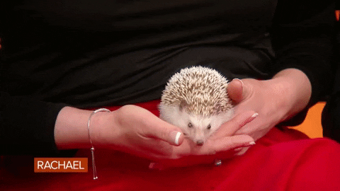 Food Rachel GIF by Rachael Ray Show