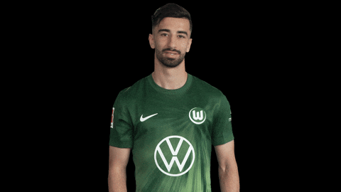 Like A Boss Deal With It GIF by VfL Wolfsburg