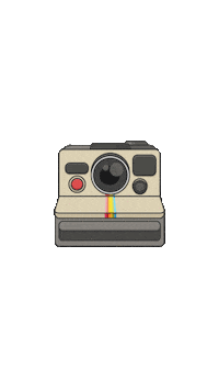 Fripers vintage photography polaroid fripers Sticker