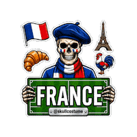 France Soccer Sticker