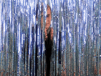GIF by Tyler Henry