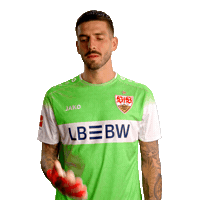 Fabian Bredlow Jako Sticker by VfB Stuttgart 1893