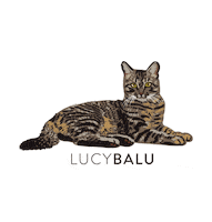Cat Sticker by LucyBalu