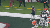 Houston Texans Football GIF by NFL