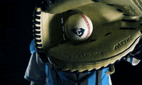 TheCitadelAthletics baseball citadel socon the citadel GIF