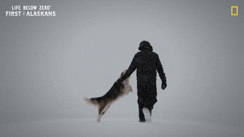 Happy Nat Geo GIF by National Geographic Channel