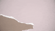 Logo El Terrat GIF by Movistar Plus+
