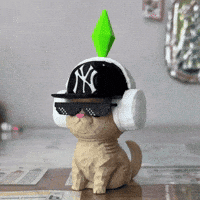 Sinetrixx3d cat vibe cat vibecat GIF