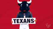 Get Up Nfl GIF by Houston Texans