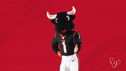 National Football League GIF by Houston Texans