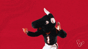 National Football League GIF by Houston Texans