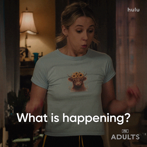 Whats Going On Wtf GIF by Adults