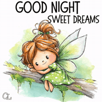 Rest Well Good Night GIF