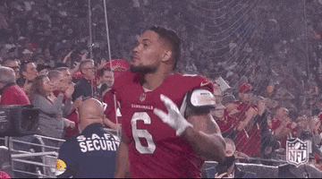Arizona Cardinals Football GIF by NFL