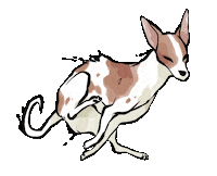 Cat Dog Sticker