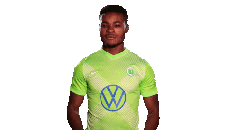 Soccer Sticker Sticker by VfL Wolfsburg