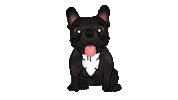 French Bulldog Sticker by zoopeez