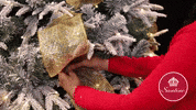 Holiday Colocar GIF by Noritex