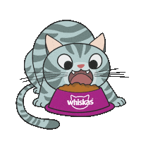WhiskasBR cat gato wet dry Sticker