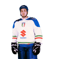 federazioneghiaccio hockey ice wintersport sportinvernali Sticker