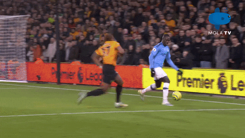 Wolves Penalty GIF by MolaTV