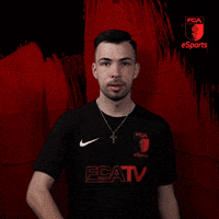 Bundesliga Esports GIF by FC Augsburg 1907