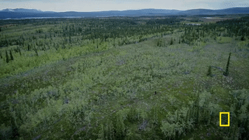 life below zero GIF by National Geographic Channel