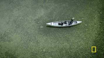 life below zero GIF by National Geographic Channel