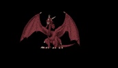 Dragon D GIF