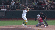 Home Run Sport GIF by MLB