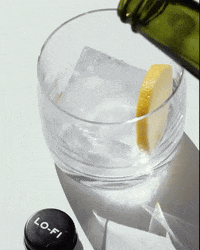 lofiaperitifs vermouth lofi aperitifs lo-fi aperitifs dry vermouth GIF