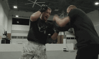 Episode 1 Sport GIF by UFC
