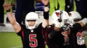 Arizona Cardinals Football GIF by NFL