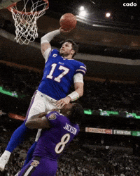 Buffalo Bills Nfl GIF