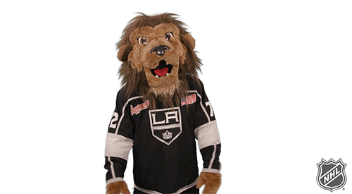 Ice Hockey Reaction GIF by NHL