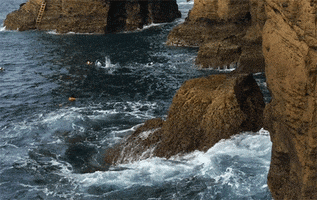Splash Cliff Diving GIF by Red Bull